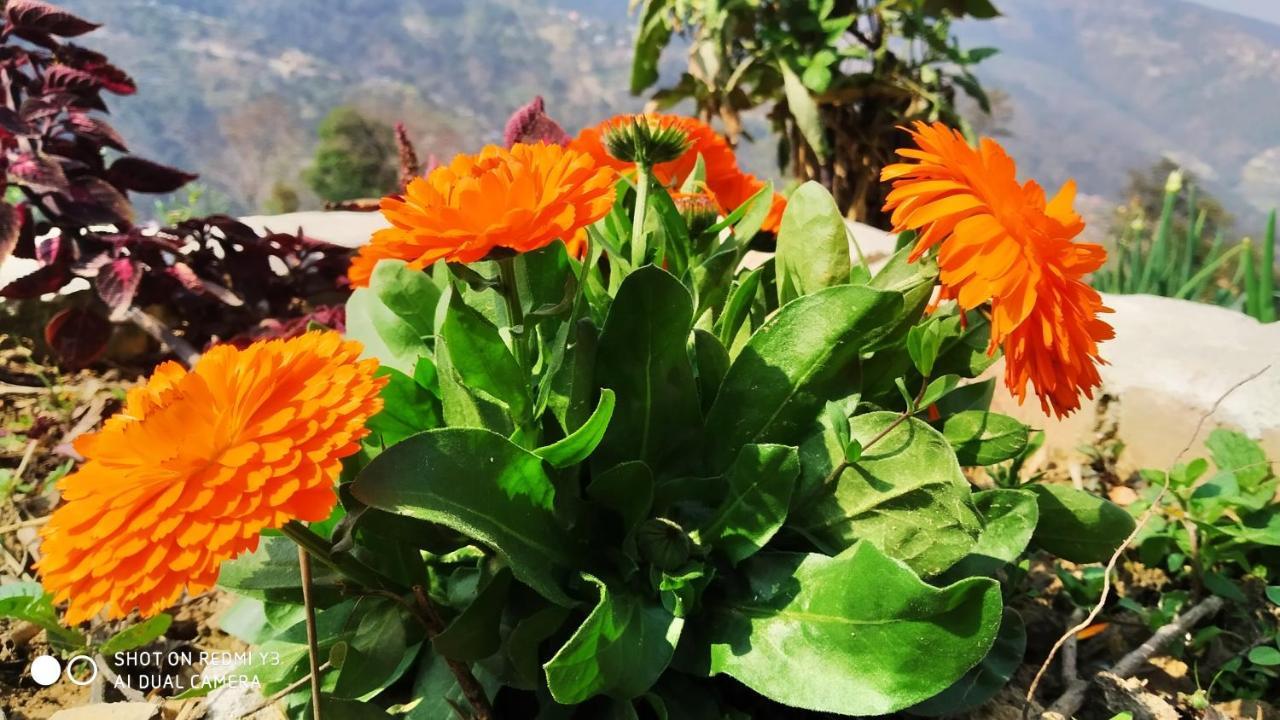 Patlekhet Eco Farmhouse Dhulikhel Exterior photo